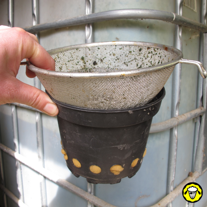 Filtre improvisé mais efficace pour éviter que trop de débris ne tombe dans une cuve d'eau pluie : passoire de cuisine, pot de fleur et éponge.