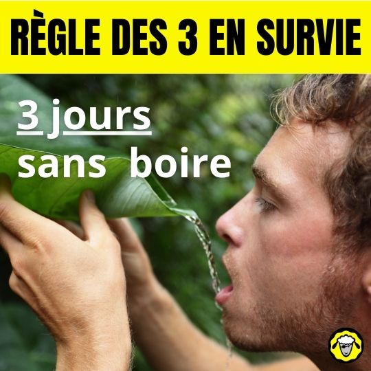 Règle des 3 en survie : 3 jours sans boire de l'eau