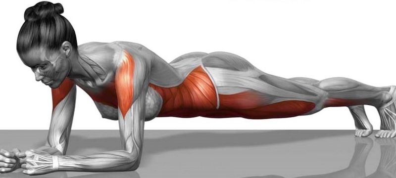 exercice-musculation-planche-femme Exercice de la planche pour travailler la sangle abdominale à 100%