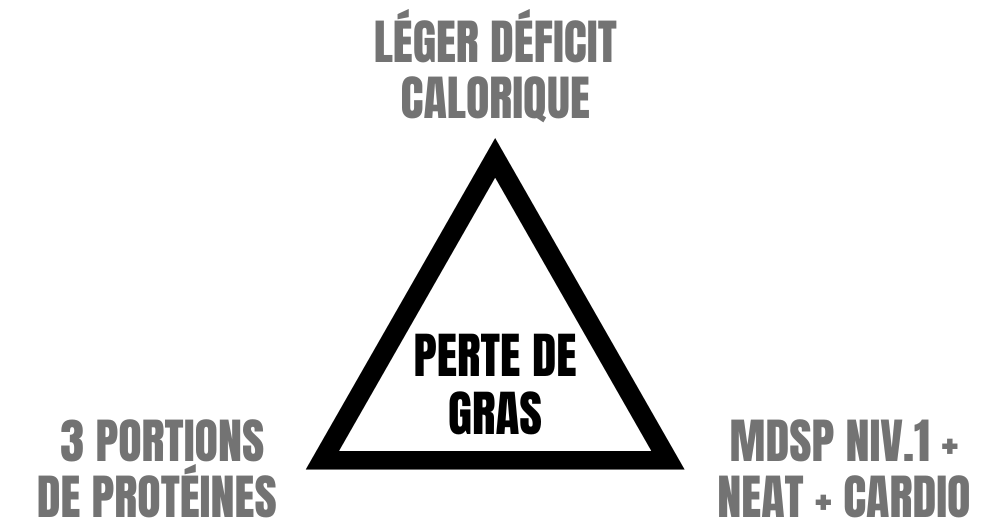 principes-perte-de-gras Principes de la diète en perte de gras