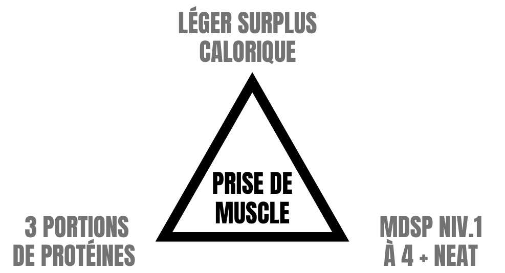 principes-prise-de-muscle-min Principes de la diète en prise de muscle en musculation