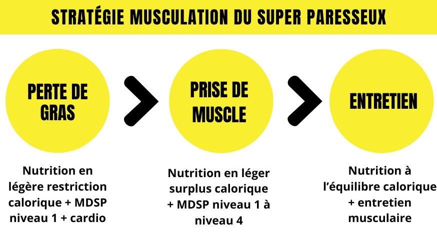 ContenuA+ - 6 Stratégie d'entrainement de musculation du super paresseux : perte de gras éventuelle, puis prise de muscle et enfin entretien après quelques années de progression