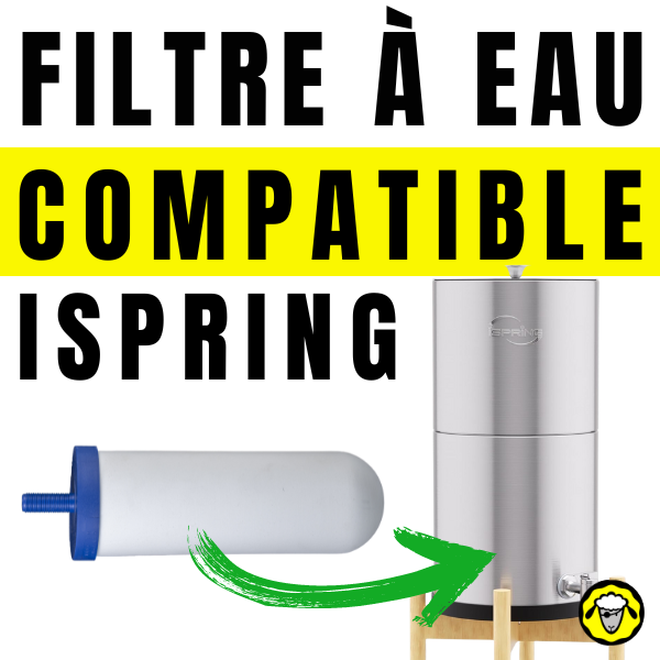 Image de gauche : Une cartouche de filtre à eau blanche avec une extrémité bleue. Image de droite : Un système de filtration d'eau en acier inoxydable marqué "Ispring". Texte : "Filtre à Eau Compatible Ispring".