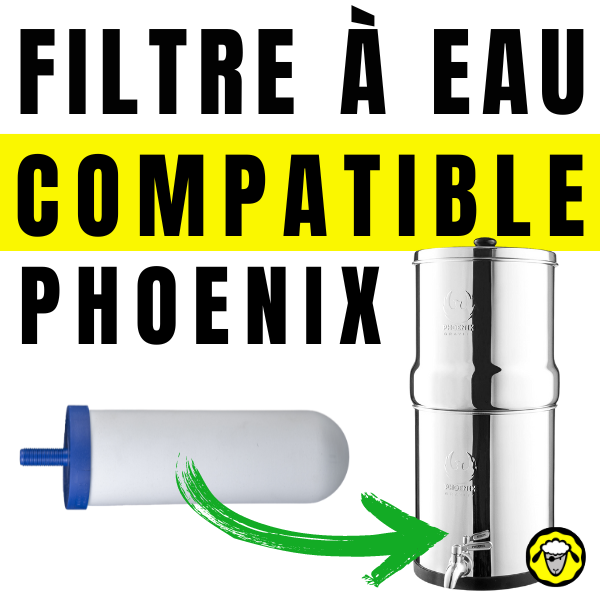 Image de gauche : Une cartouche de filtre à eau blanche avec une extrémité bleue. Image de droite : Un système de filtration d'eau en acier inoxydable marqué "Phoenix". Texte : "Filtre à Eau Compatible Phoenix".
