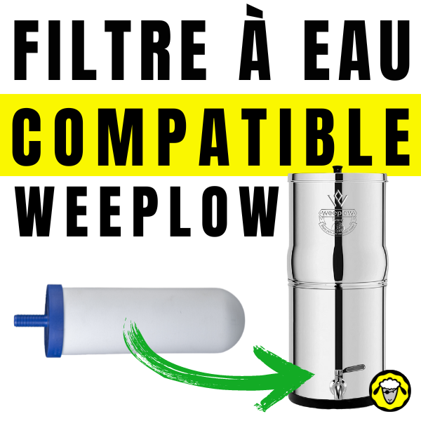 Image de gauche : Une cartouche de filtre à eau blanche avec une extrémité bleue. Image de droite : Un système de filtration d'eau en acier inoxydable marqué "Weeplow". Texte : "Filtre à Eau Compatible Weeplow".