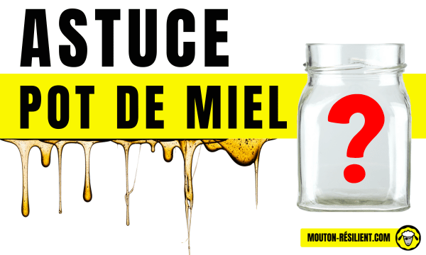 astuce pot de miel vide - un pot en verre avec du miel coulant, illustrant des idées pour réutiliser un pot vide.