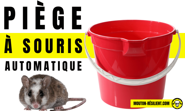 piège à souris - un seau rouge avec une flèche, illustrant une astuce pour un piège simple et efficace.