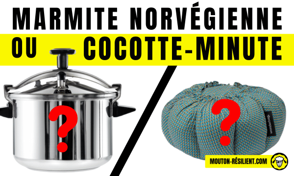 Petite Cocotte Minute Anti-adhésive - Marmite à Pression Rapide Avec Couvercle Transparent - Compatible Induction, 37,5x26x20 Cm