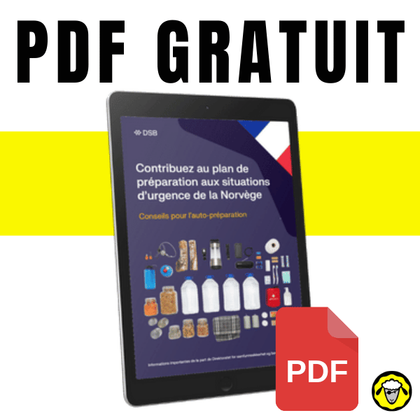 Visuel d'une tablette affichant un guide de préparation aux situations d'urgence en Norvège, publié par la DSB. Le titre du document est 'Contribuez au plan de préparation aux situations d’urgence de la Norvège – Conseils pour l’auto-préparation'. Des icônes représentant des articles essentiels de survie (eau, nourriture, lampe, radio, etc.) sont visibles sur la couverture. En haut de l’image, le texte 'PDF GRATUIT' est affiché en noir sur fond blanc, et un pictogramme de fichier PDF rouge est superposé en bas à droite.