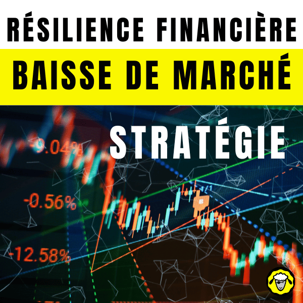Graphiques de marché boursier en baisse avec superpositions de texte en français soulignant la résilience financière, la baisse de marché, et des stratégies.