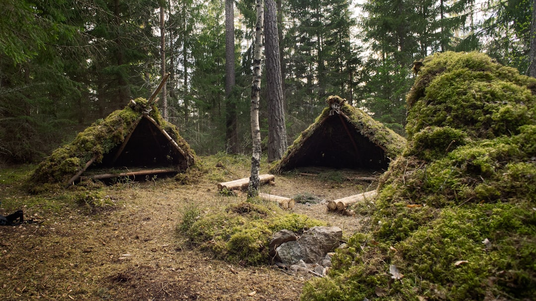 brown wooden house in the woods