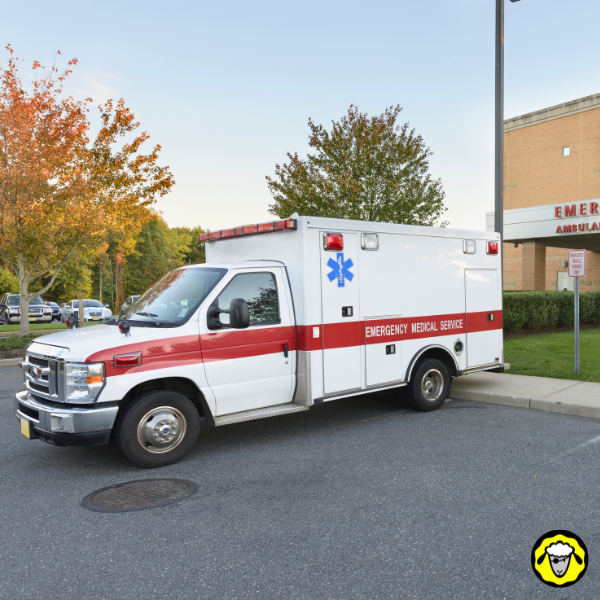 Ambulance des services médicaux d’urgence stationnée devant un hôpital. Symbolise la rapidité d’intervention en temps normal, mais aussi le besoin d’anticiper les situations où ces services seraient indisponibles. Thématique centrale dans toute réflexion autour d’une trousse de secours autonome.