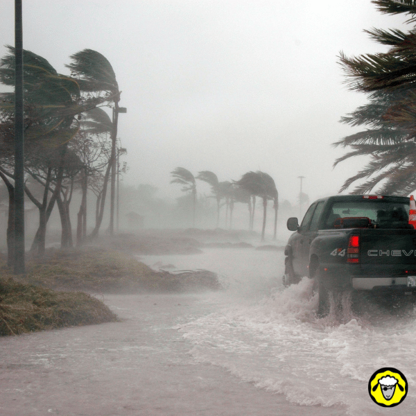 Pick-up roulant dans une rue inondée sous des vents violents lors de l’ouragan Helene. Arbres pliés par la tempête, conditions extrêmes de survie.