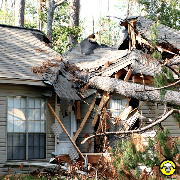 Maison endommagée par un arbre tombé sur son toit après l’ouragan Helene. Exemple de dégâts domestiques typiques en zone résidentielle frappée par un ouragan majeur.