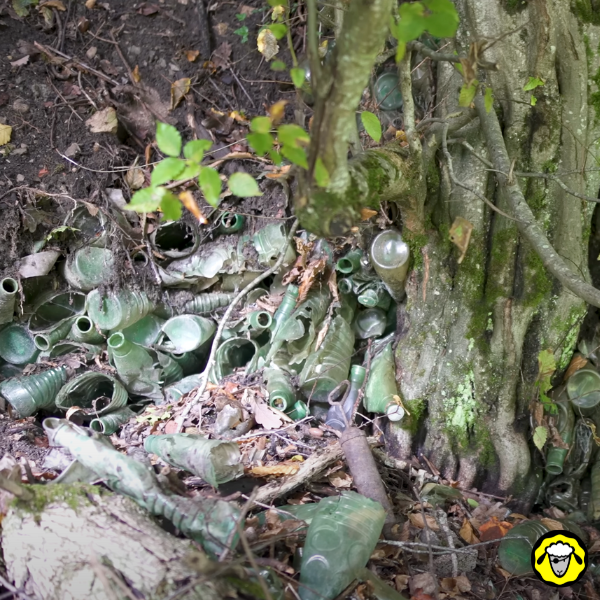 Scandale_Nestlé_Pollution_Decharge_Plastique_5 Tas de vieilles bouteilles Vittel vertes, écrasées et enfouies au pied d’un arbre dans un bois. Cette décharge sauvage montre l’ampleur de la pollution plastique d’origine industrielle. Logo de Mouton Résilient en bas à droite.