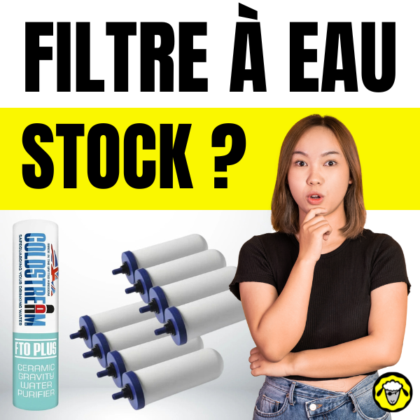 Femme pensive devant un lot de filtres à eau Coldstream avec le texte "Filtre à eau stock ?" sur fond jaune