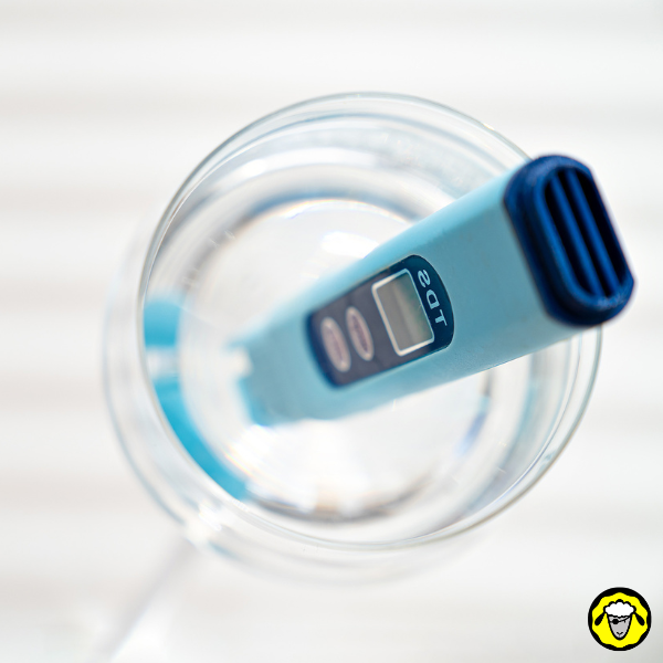 Appareil TDS bleu plongé dans un verre d’eau claire, vu du dessus, sur fond lumineux.