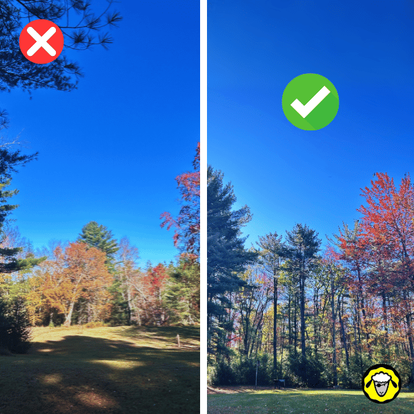 ciel-degage-vs-ciel-obstrue-choisir-emplacement-starlink-mini Comparaison entre une zone de ciel partiellement obstruée par des arbres — mauvais emplacement pour Starlink — et une zone entièrement dégagée, idéale pour capter les satellites sans interruptions.