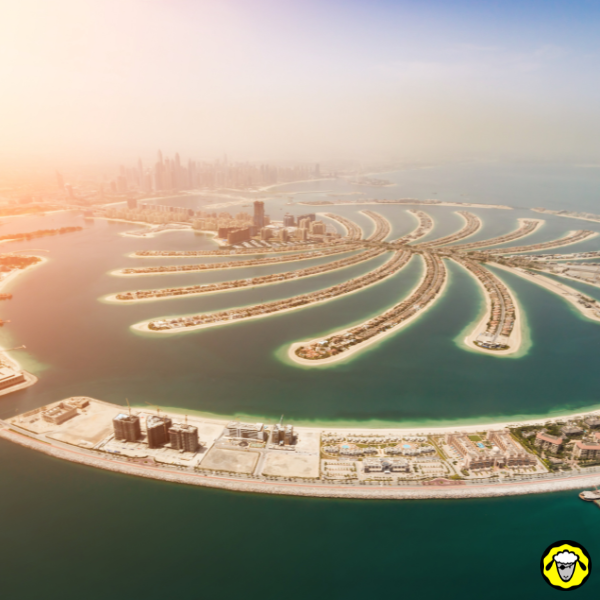 Vue aerienne de l ile artificielle Palm Jumeirah a Dubai avec la skyline en arriere plan