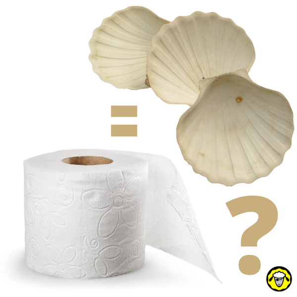 Est-ce que les 3 coquillages remplacent le papier toilette?