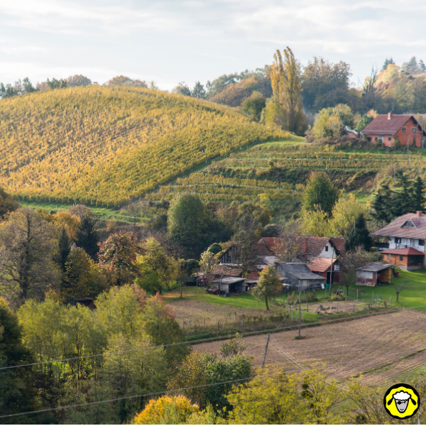 Paysage rural avec collines cultivées, arbres d automne et maisons dispersées