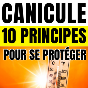Visuel d’article sur la canicule présentant 10 principes pour se protéger des fortes chaleurs, avec un thermomètre affichant une température élevée sous un soleil intense.