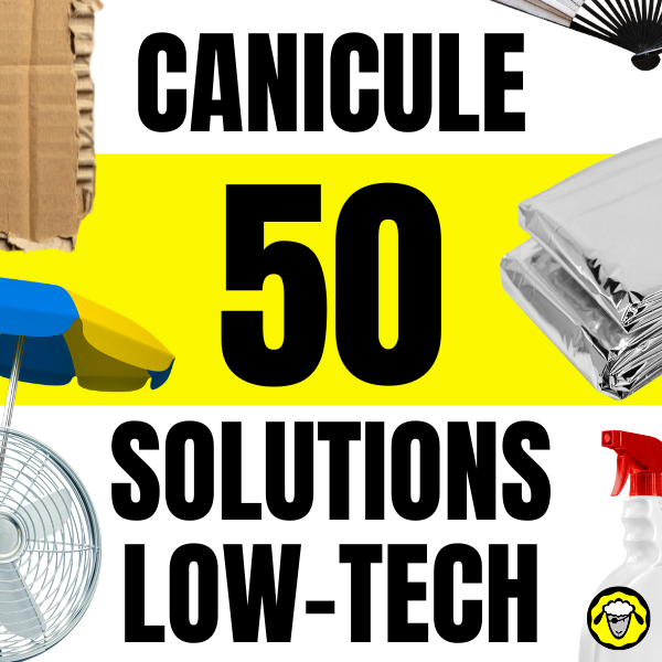 Visuel avec le texte Canicule 50 solutions low-tech sur fond jaune et blanc, entouré d objets de fraîcheur