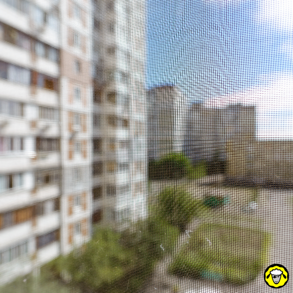 Vue floue d immeubles et d une cour à travers une moustiquaire de fenêtre