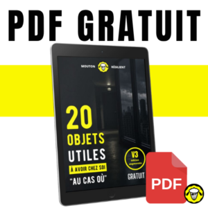 pdf gratuit 3e version des 20 objets utiles a avoir chez soi au cas où sur couverture sombre d'une ville sans électricité. Logo Mouton Résilient.