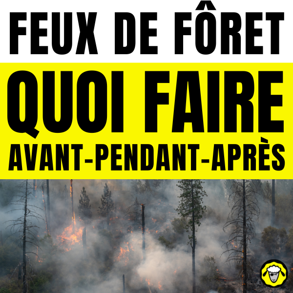 Feu de forêt : quoi faire avant, pendant, après Affiche sur le feu de forêt avec le texte quoi faire avant pendant après au-dessus d une forêt en flammes